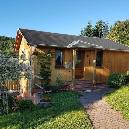 Haus Talsperreneck Villa Stutzengrun Ngoại thất bức ảnh